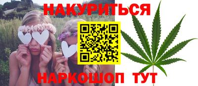 сатива Пенза